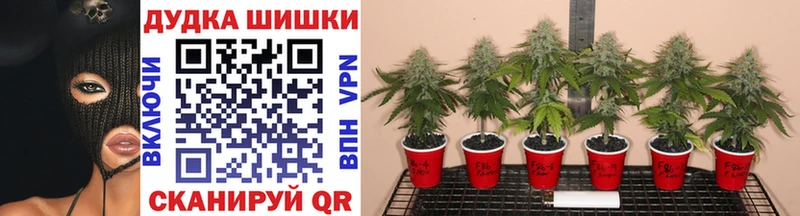 Купить ГАШ  A-PVP  Мефедрон  Мензелинск