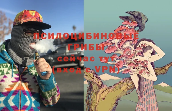амф Бугульма