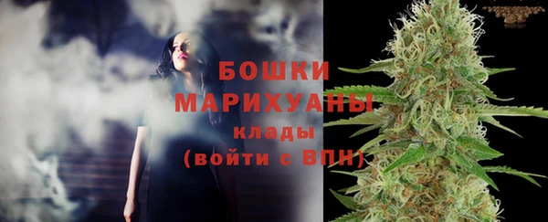 ГАЛЛЮЦИНОГЕННЫЕ ГРИБЫ Бронницы