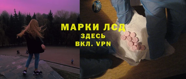 дурь Бородино