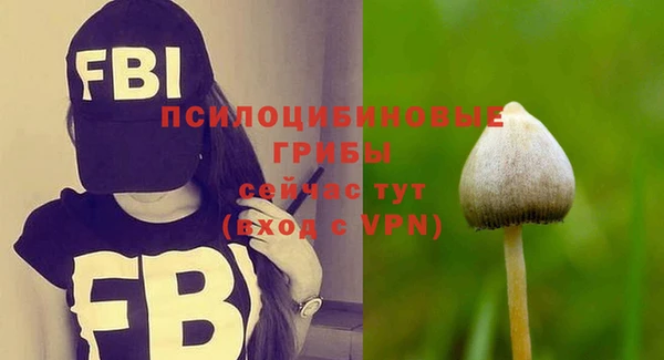 дурь Бородино
