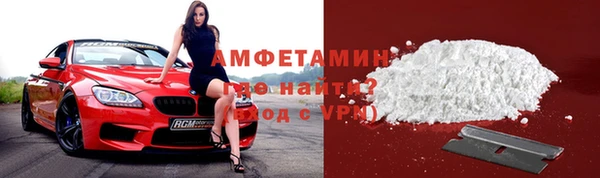 дурь Бородино