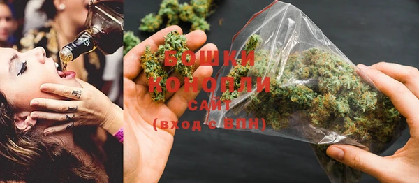 ГАЛЛЮЦИНОГЕННЫЕ ГРИБЫ Бронницы