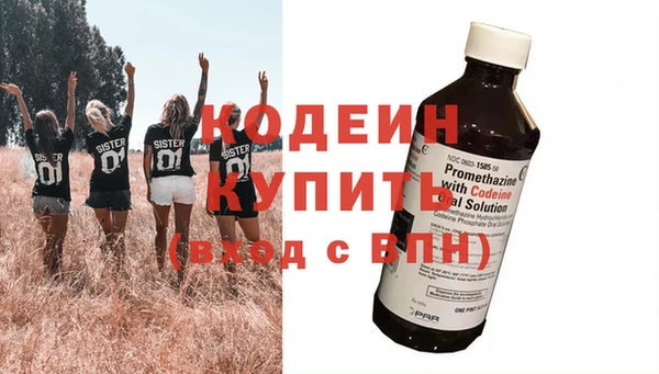 дурь Бородино