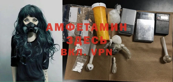 дурь Бородино