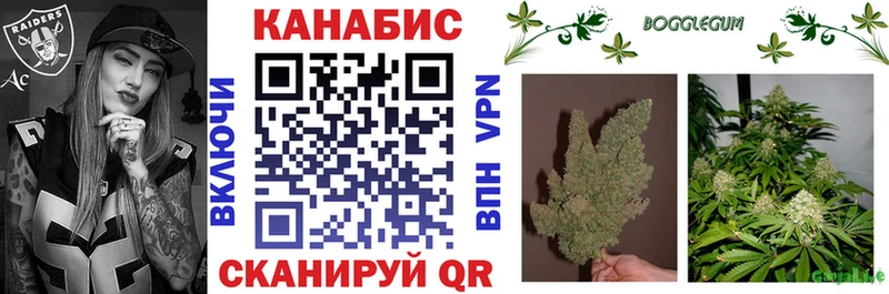 Бошки марихуана AK-47  Купить закладки  Мензелинск 